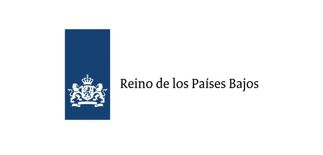 LOGOS 1042X500_REINO DE LOS PAÍSES BAJOS