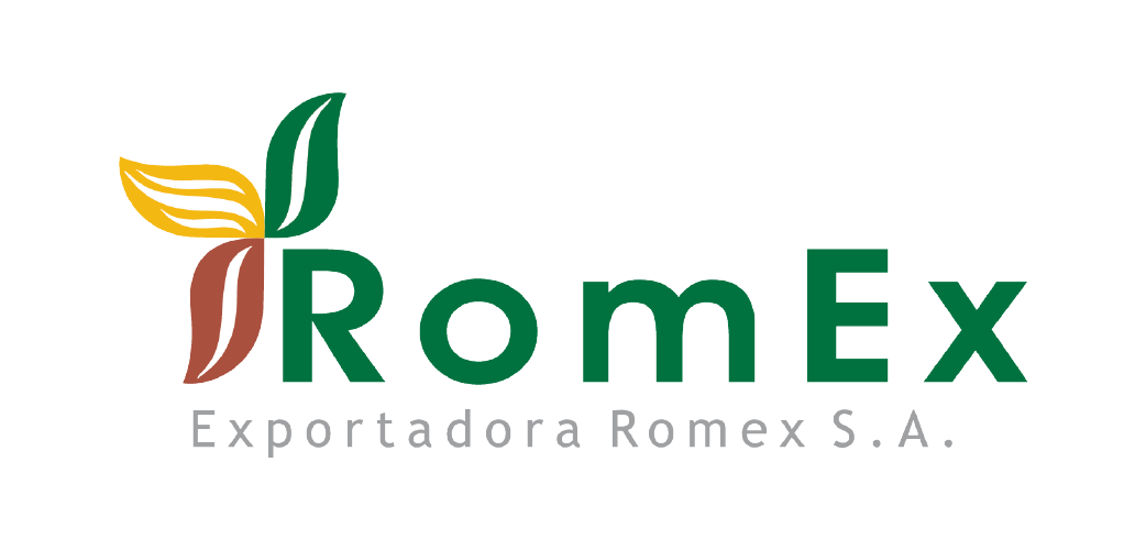 LOGOS 1042X500_ROMEX