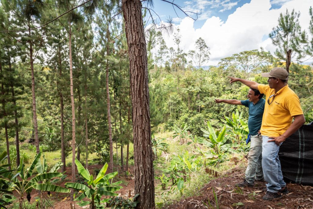 10292019_ProyCafeMYBB_sol_674