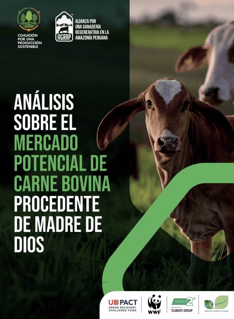 Análisis sobre el mercado potencial de carne bovina procedente de Madre de Dios (1)