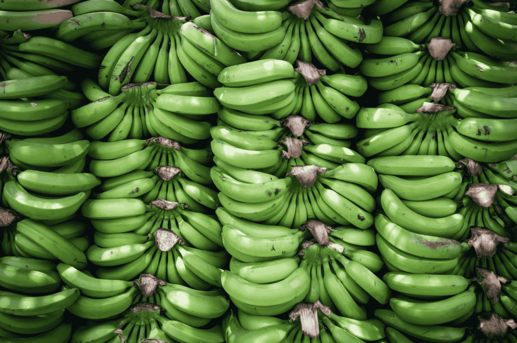 Banano Biblioteca (2)