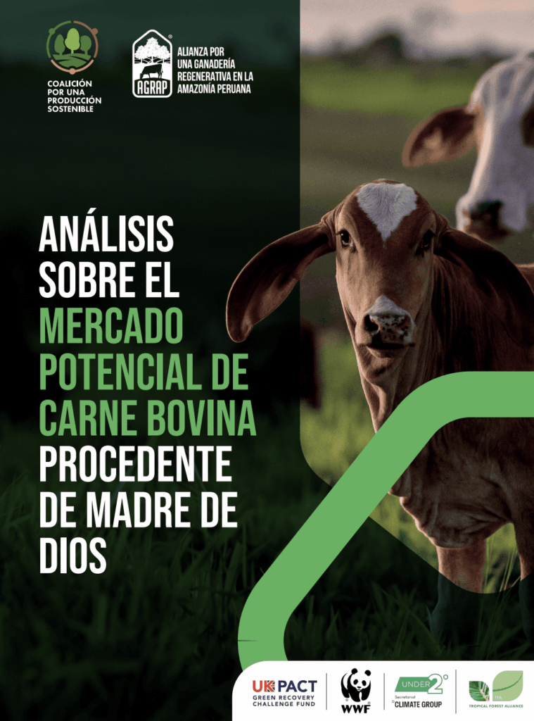 Diseño sin título (11)