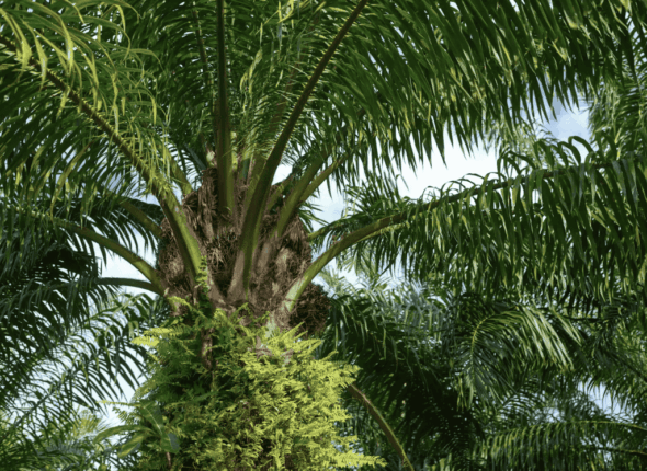 Diseño sin título (6)