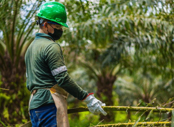 Diseño sin título (7)