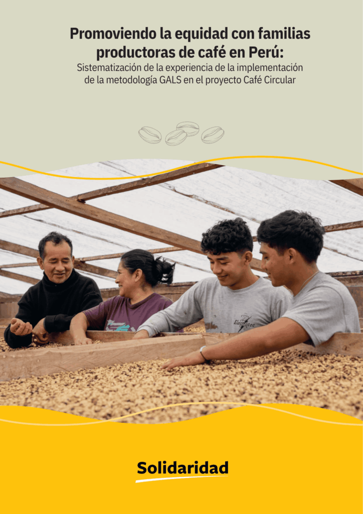 Sistematización GALS CC-Españolvf_compressed (1).pdf