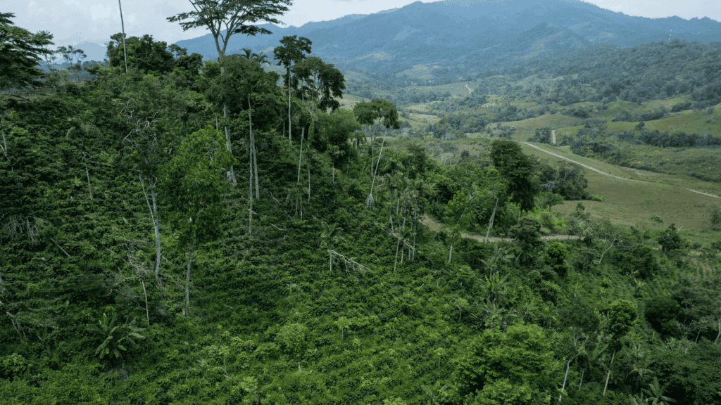 Portadas videos youtube (2)