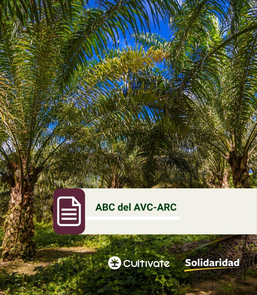 FOLLETO UKPACT FINAL .pdf