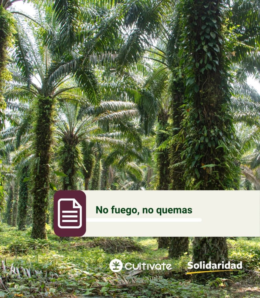 Web Portadas PDf (1)