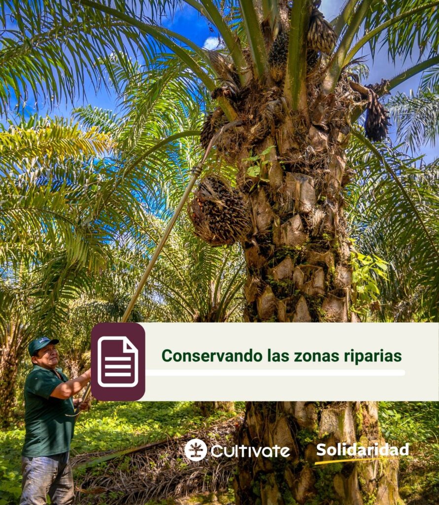 Web Portadas PDf (2)