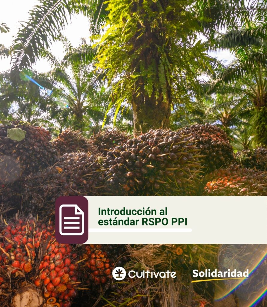 Web Portadas PDf (3)