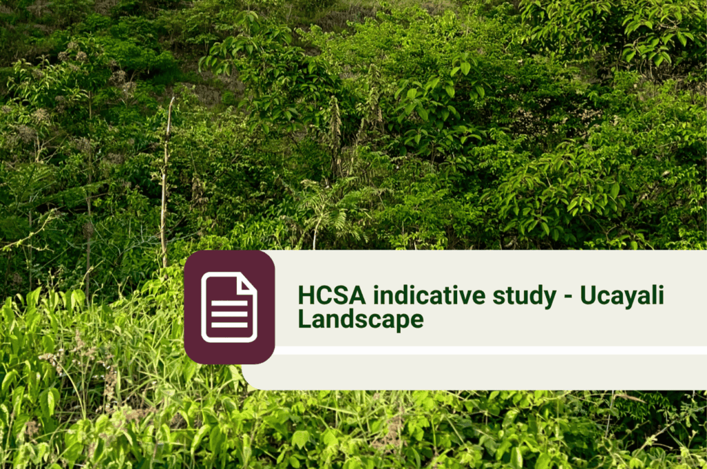 Web - Portada Biblioteca (2)