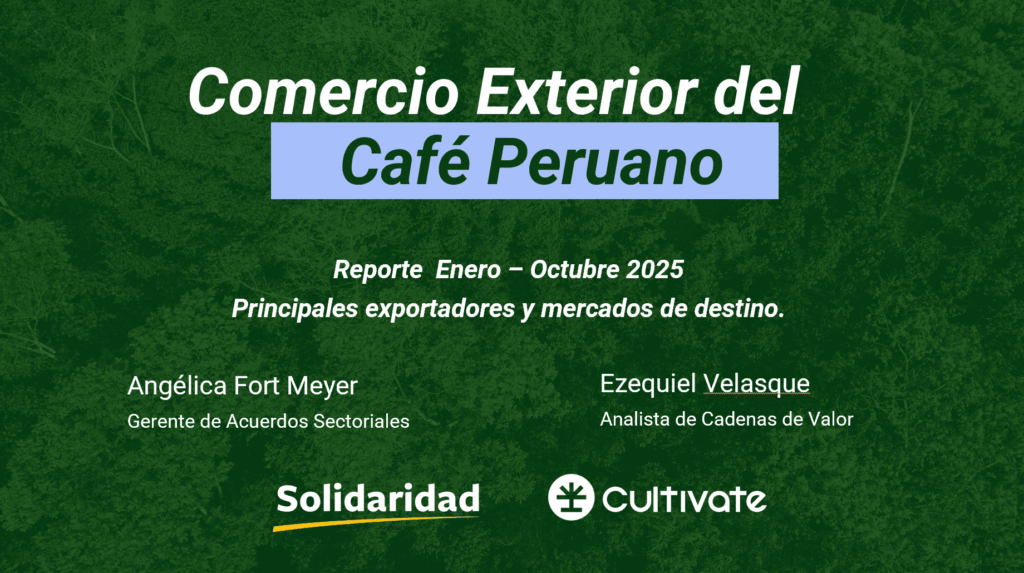 Captura de pantalla 2026-01-05 093229