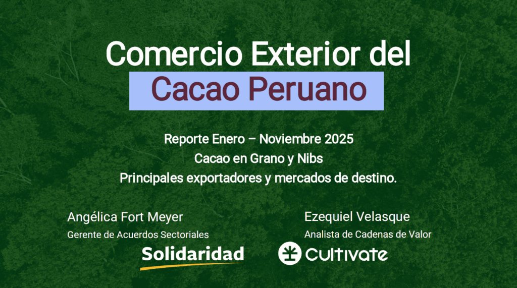 Captura de pantalla 2026-01-20 114359