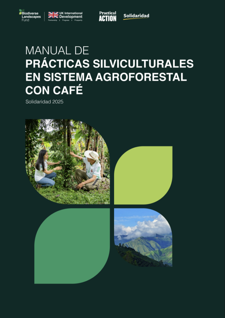 Captura de pantalla 2026-02-06 122207