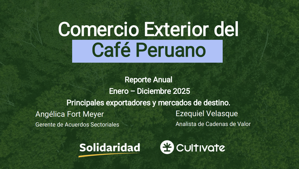 Captura de pantalla 2026-03-12 125025